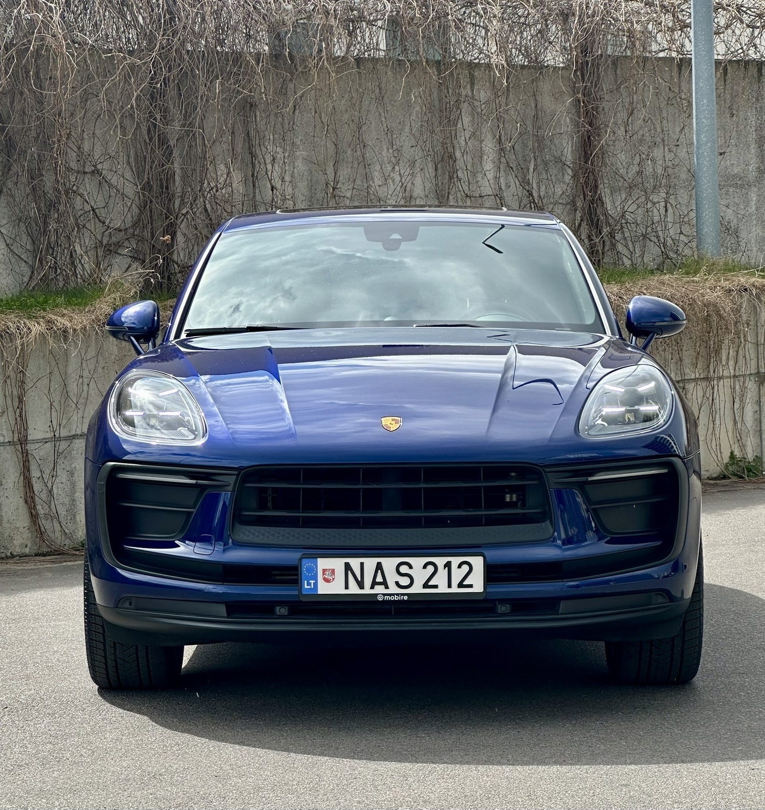 Porsche Macan 2024, photo 2/19