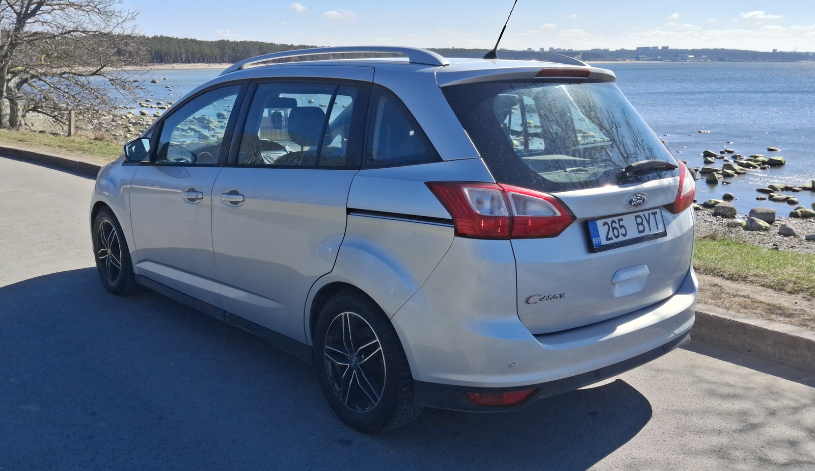 Ford Grand C-Max 2011, photo 4/20