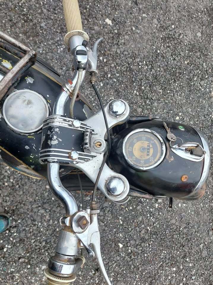 Triumph 1955, photo 6/9