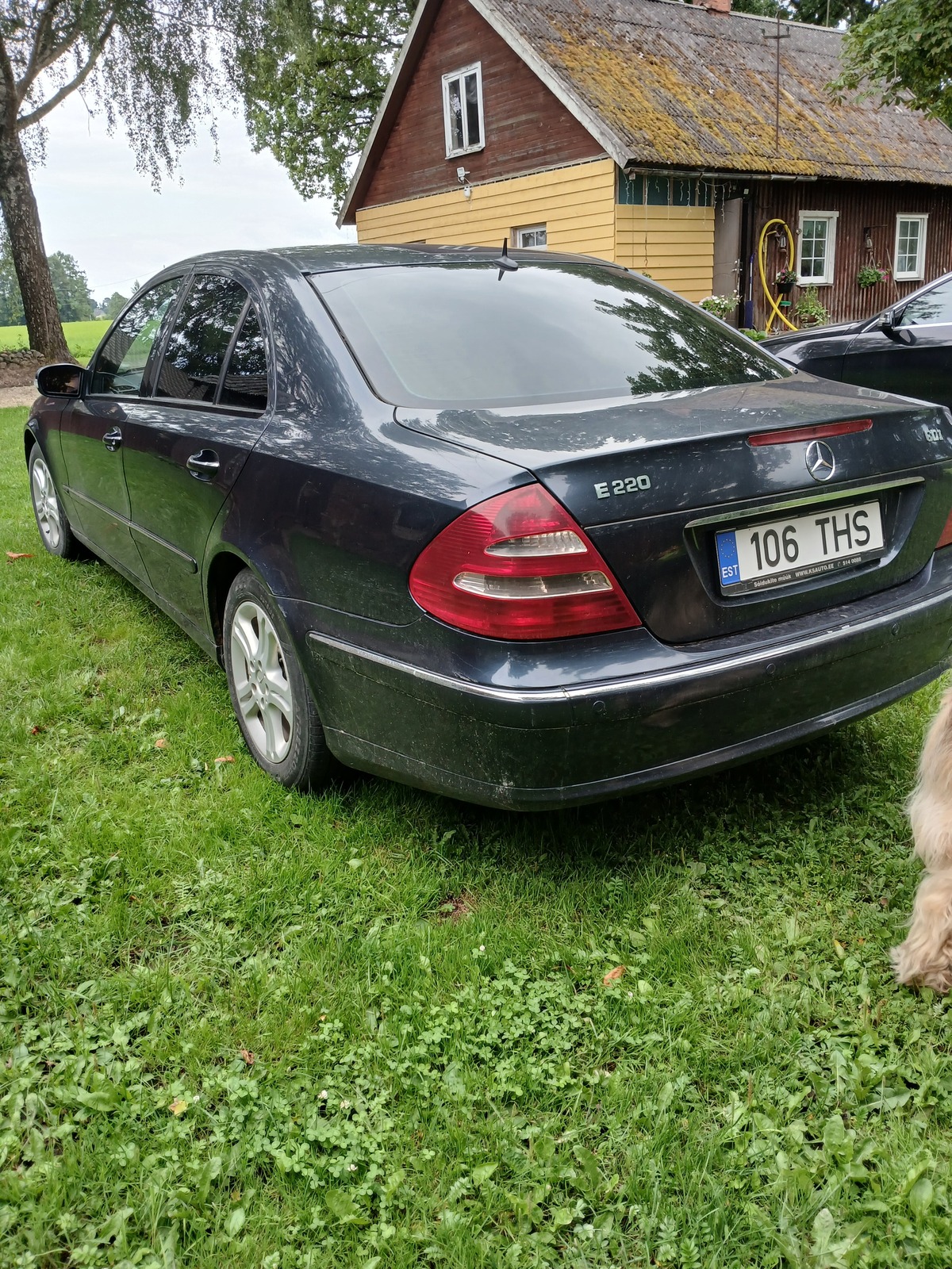 Mercedes-Benz E 220 2004, photo 6/10