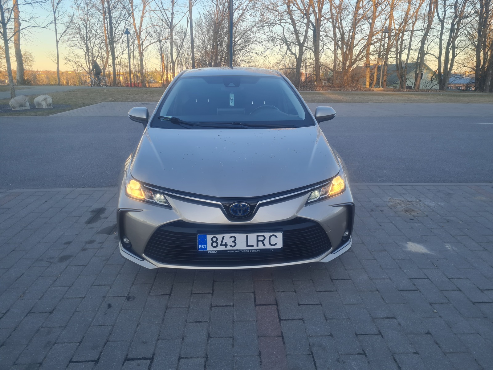 Toyota Corolla 2020, photo 6/8