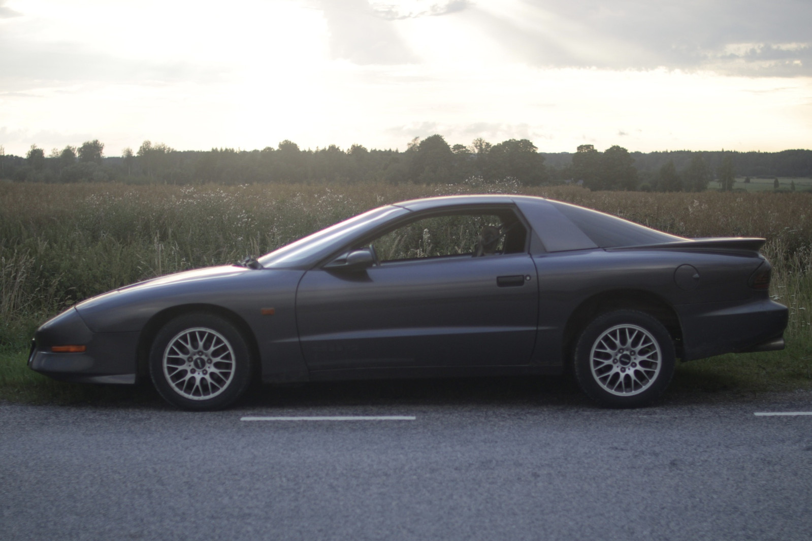 Pontiac Firebird 1993, photo 3/9