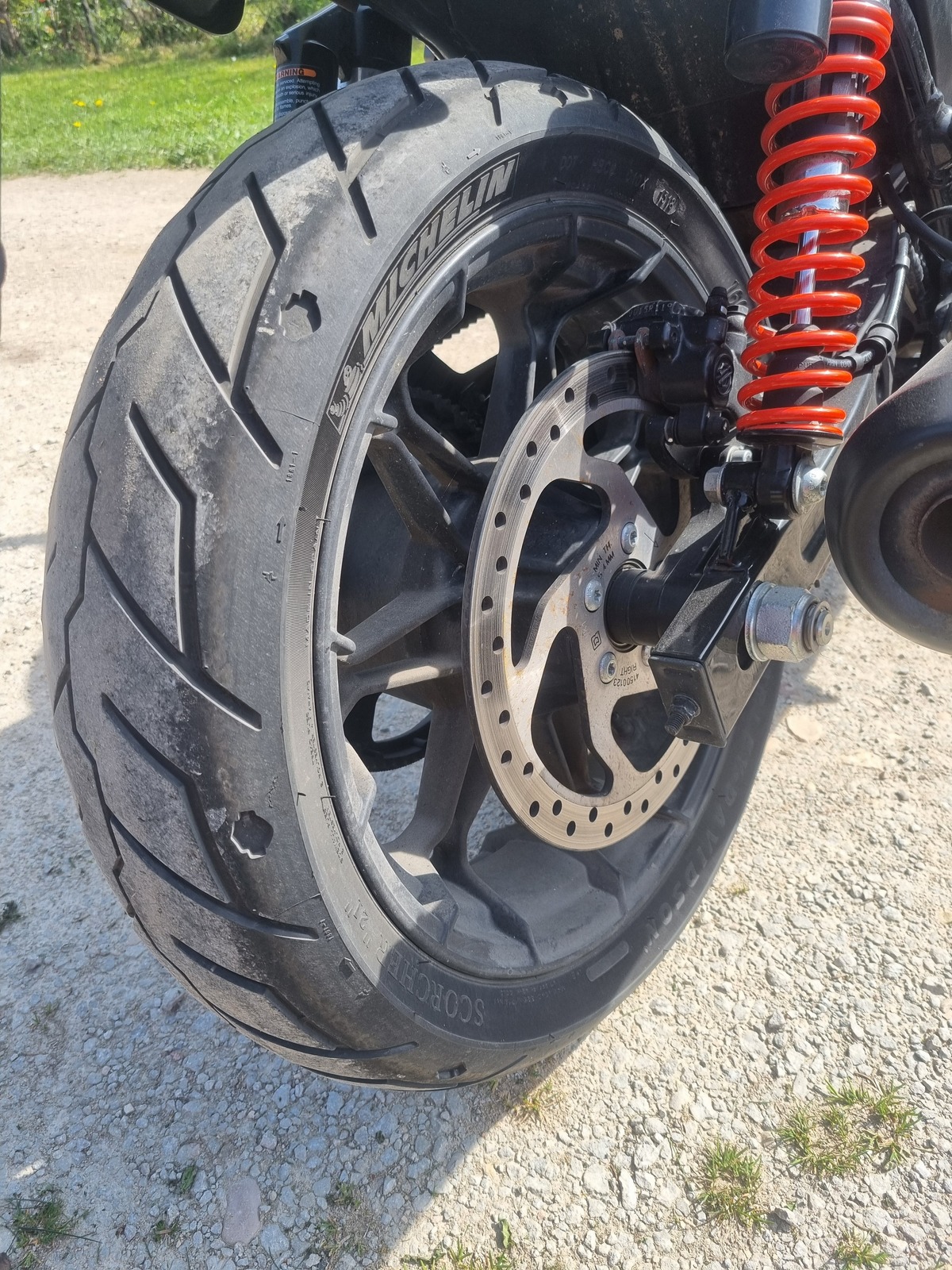 Harley-Davidson STREET ROD 2019, kuva 6/7
