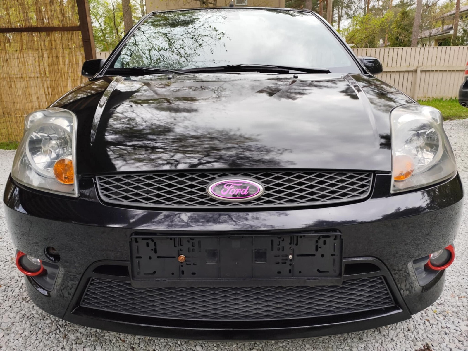 Ford Fiesta ST 2007, photo 6/11