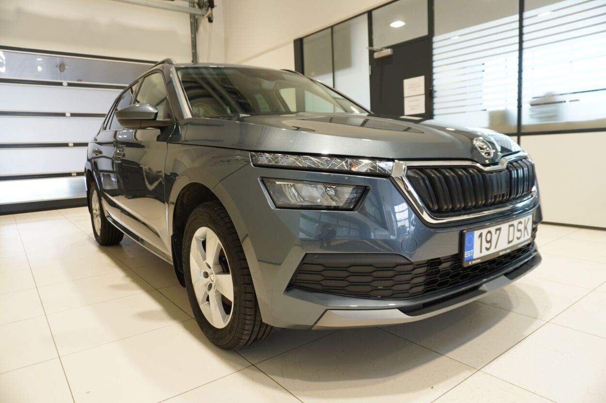 Škoda Kamiq 2021, photo 4/24