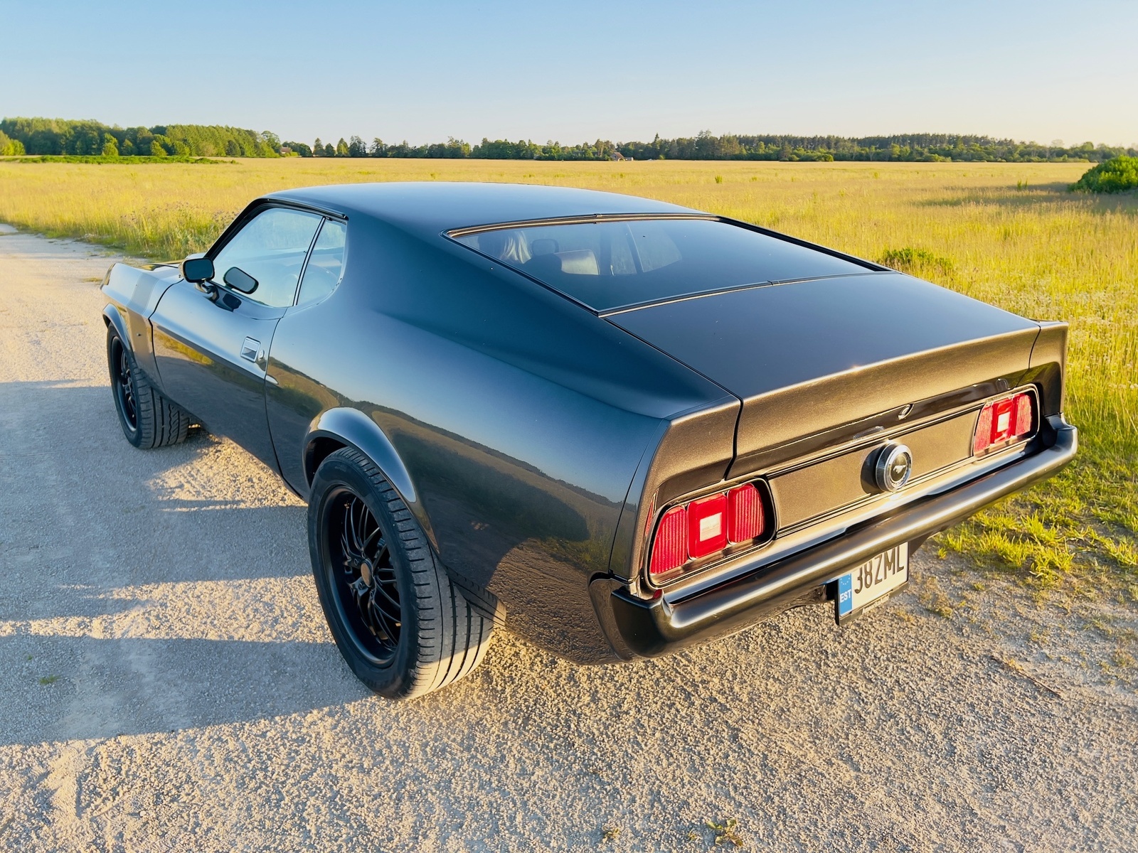Ford Mustang 1973, photo 4/12