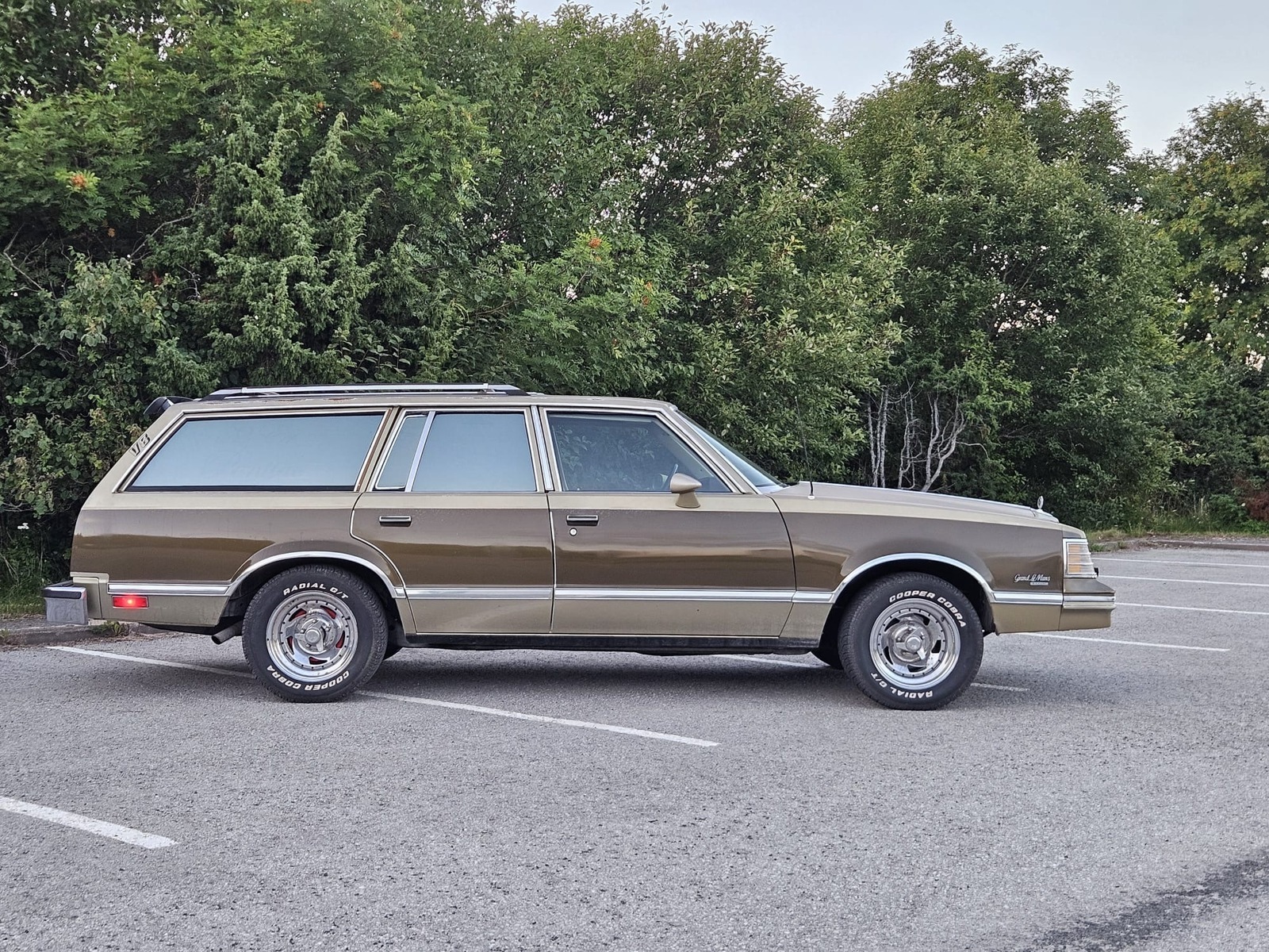 Pontiac GRAND LE MANS 1982, photo 6/60