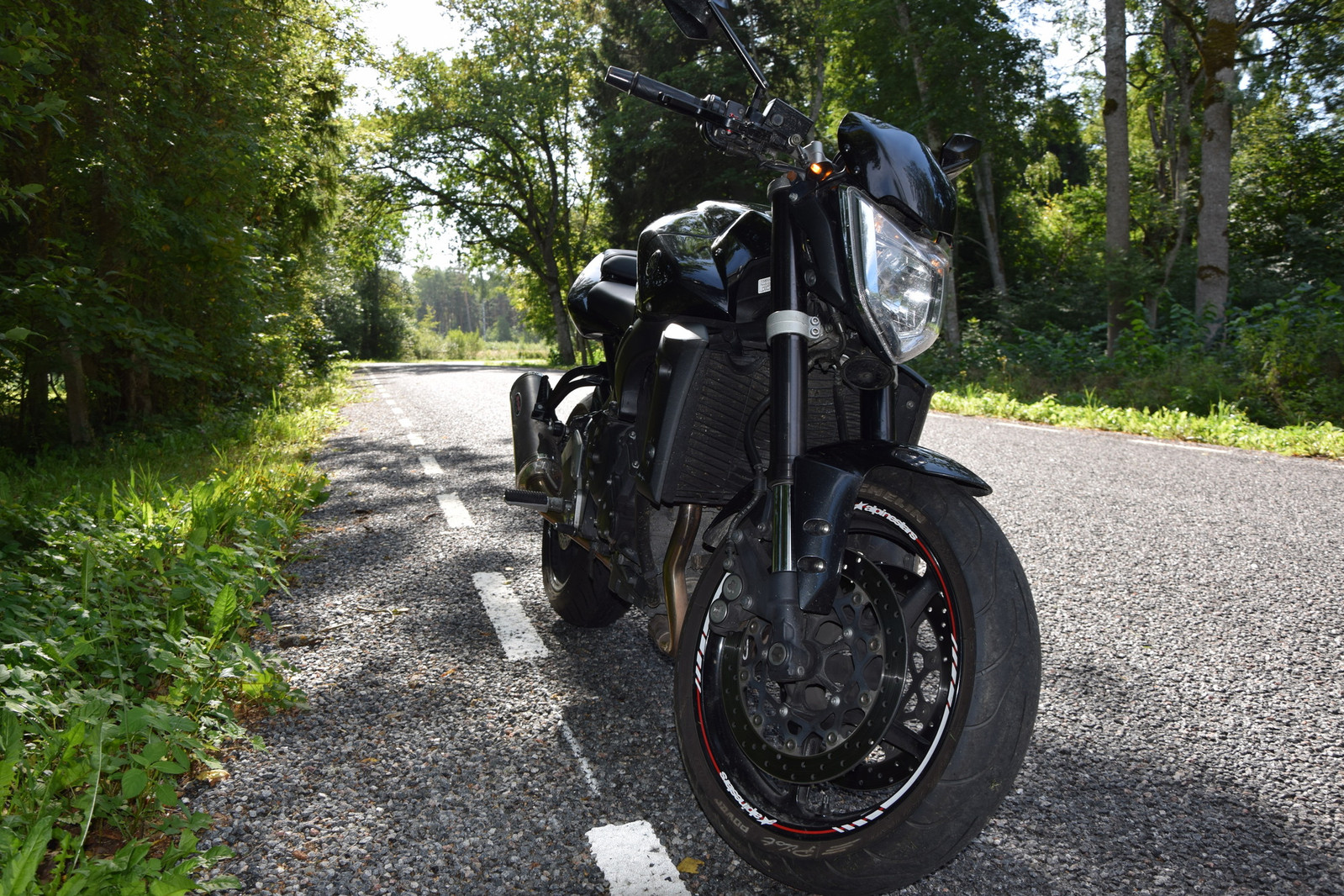 Yamaha FZ1 2007, photo 6/8