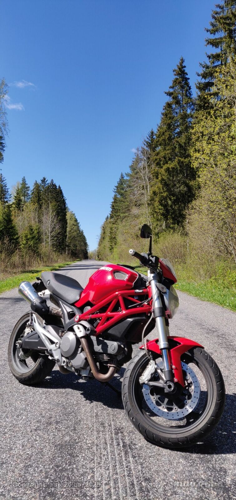 Ducati Monster 2008, kuva 5/7