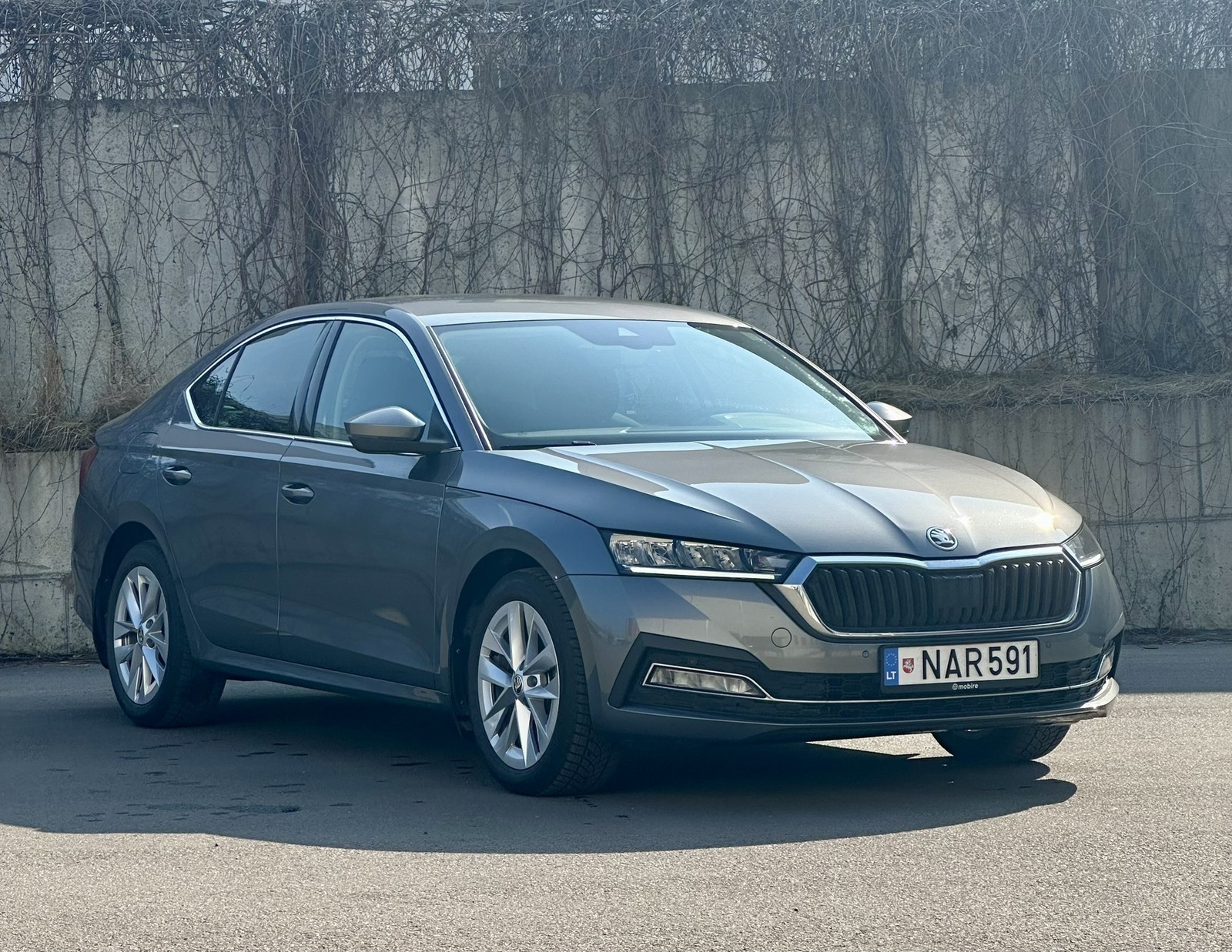 Škoda Octavia 2024, photo 3/18