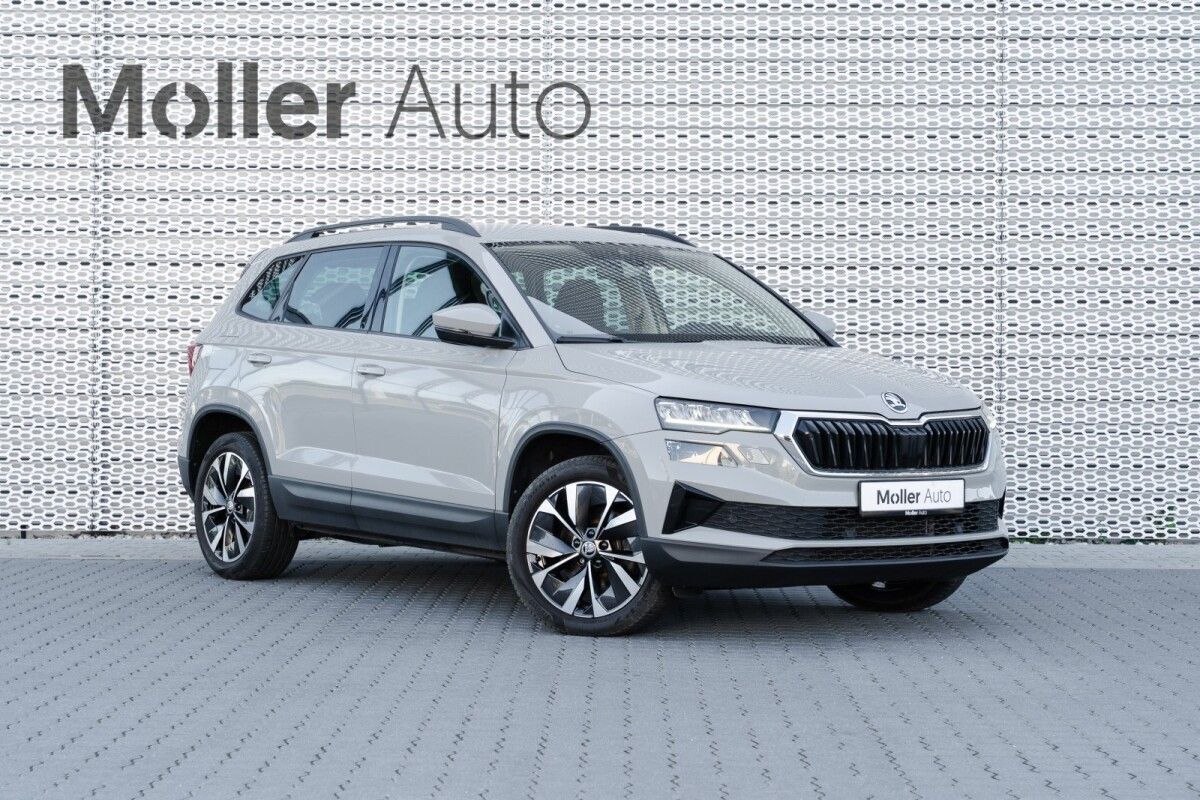 Škoda Karoq 2023, photo 4/29