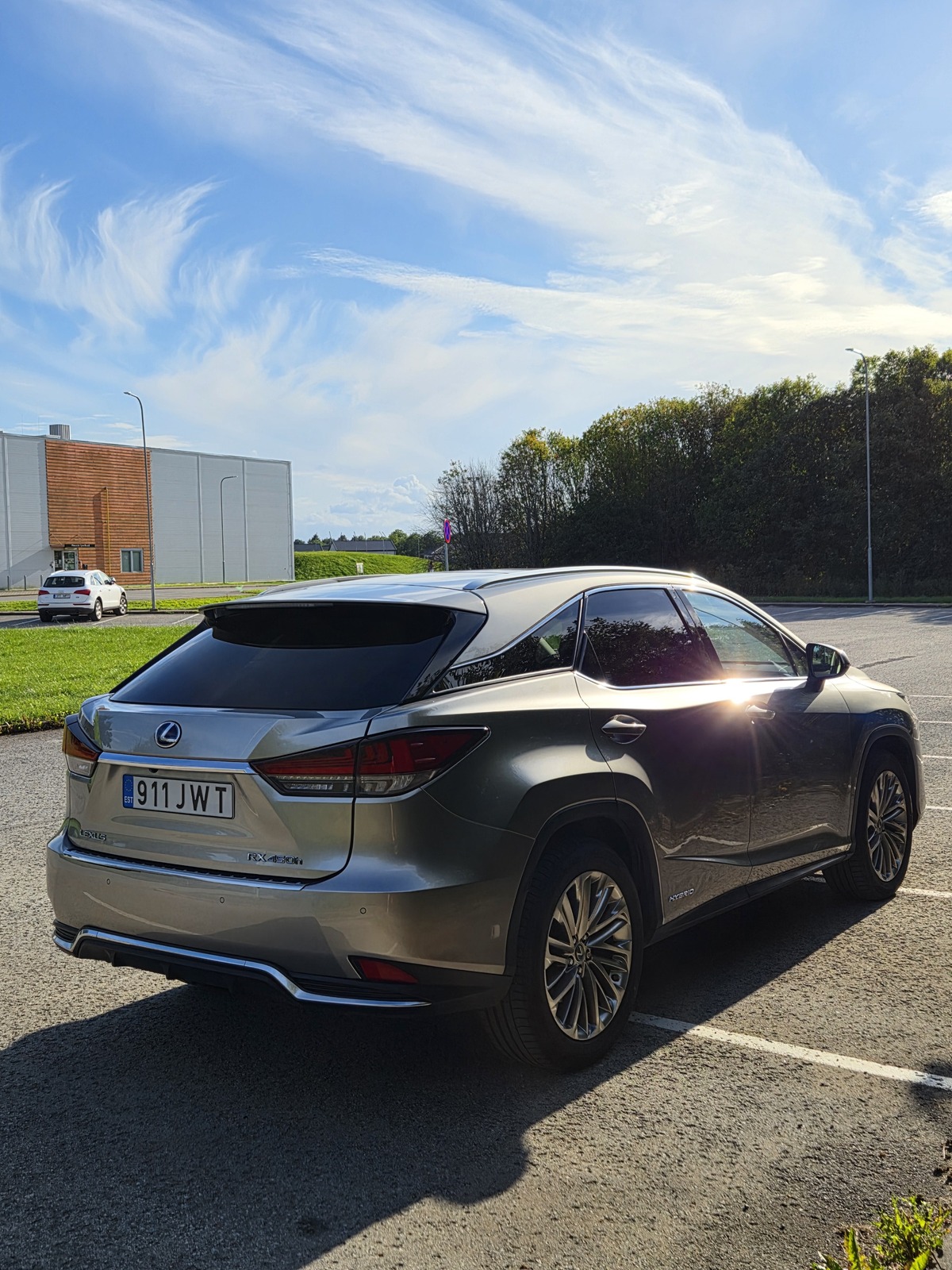 Lexus RX 450 2019, photo 4/14