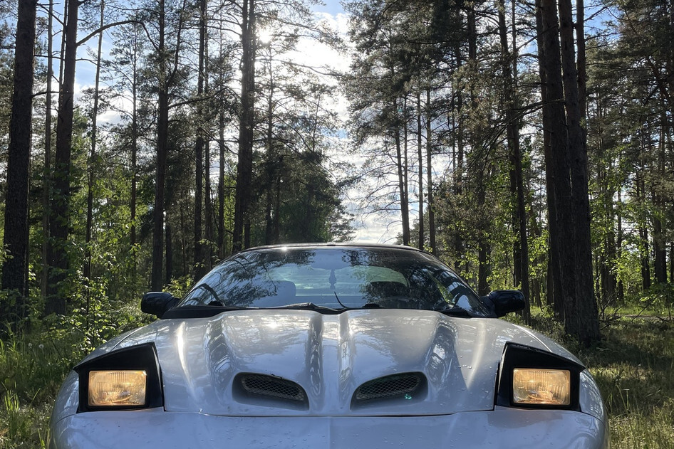 Pontiac Firebird, 1996, 3.4, 109 kW, bensiin, automaat, tagavedu