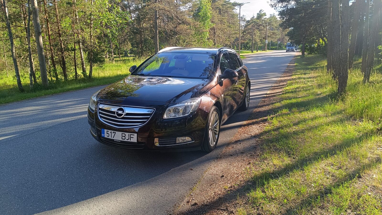 Opel Insignia 2013, photo 4/12