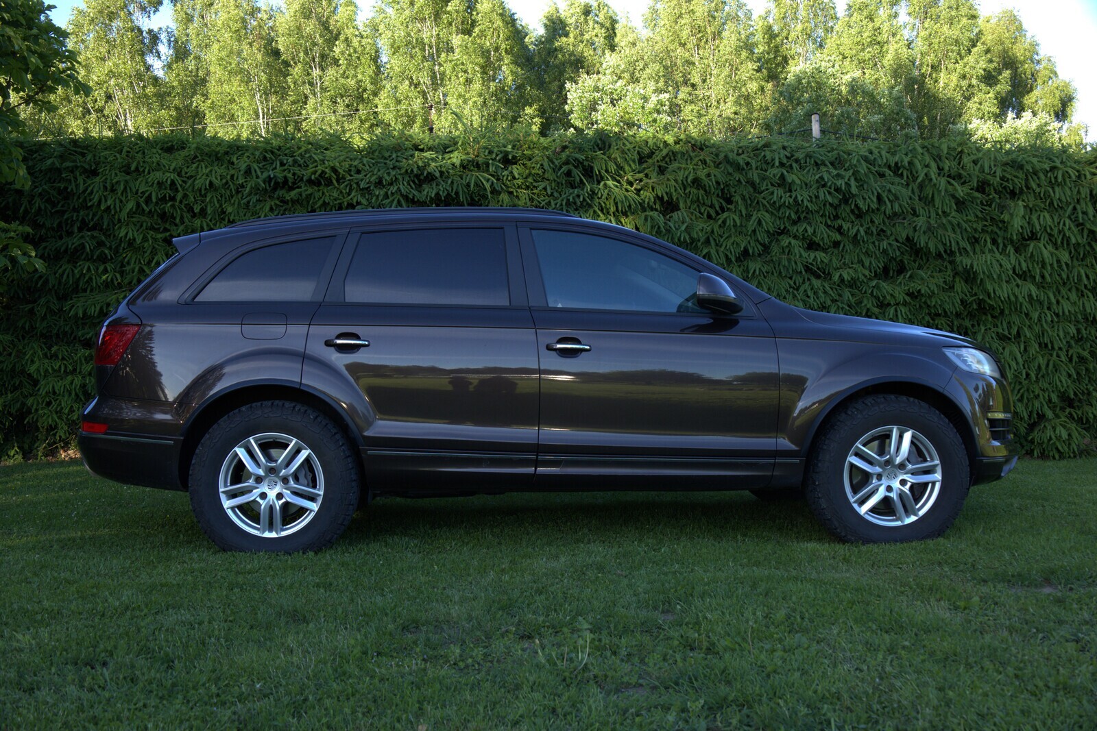 Audi Q7 2010, photo 7/10