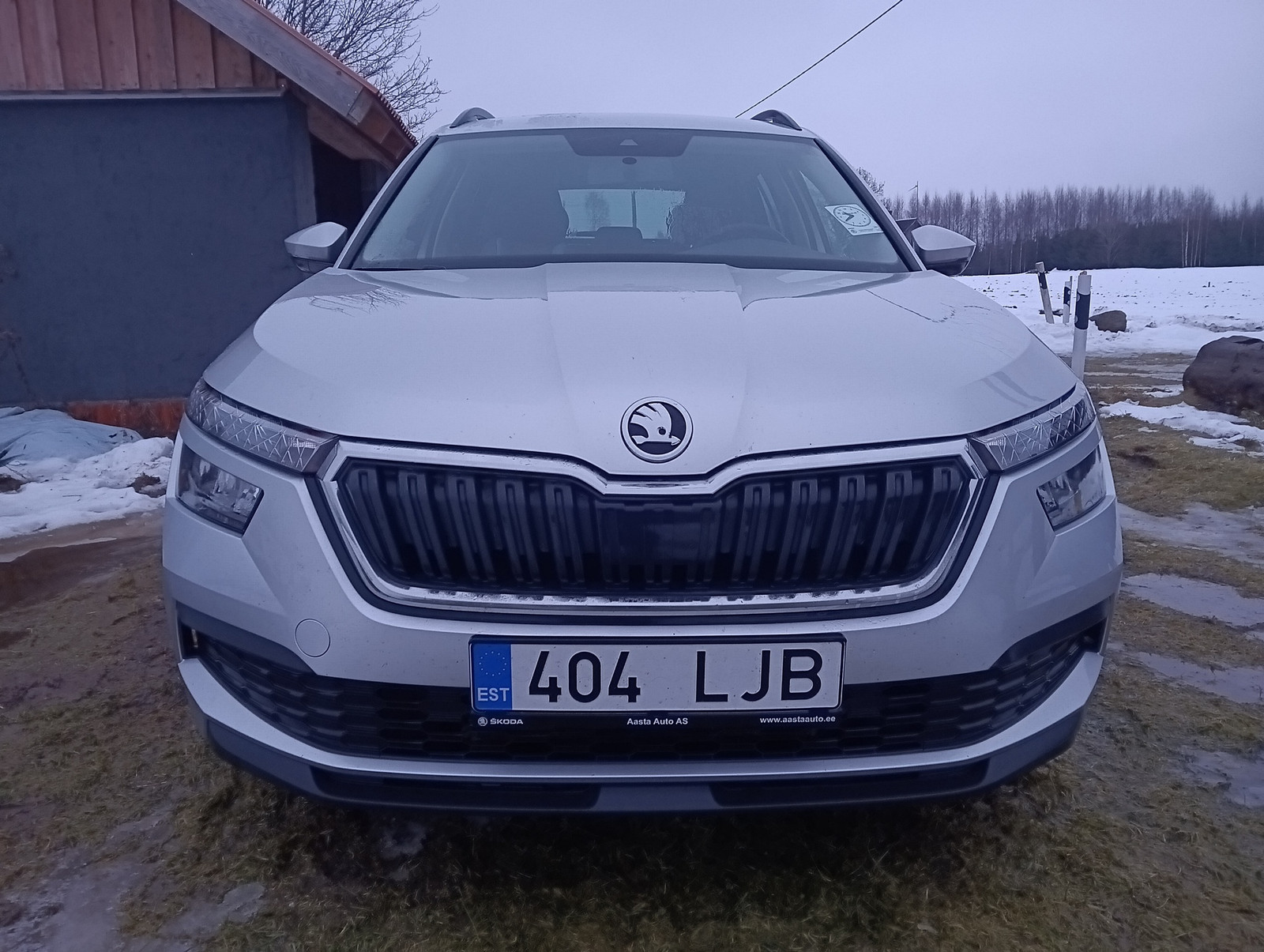 Škoda Kamiq 2021, photo 2/4