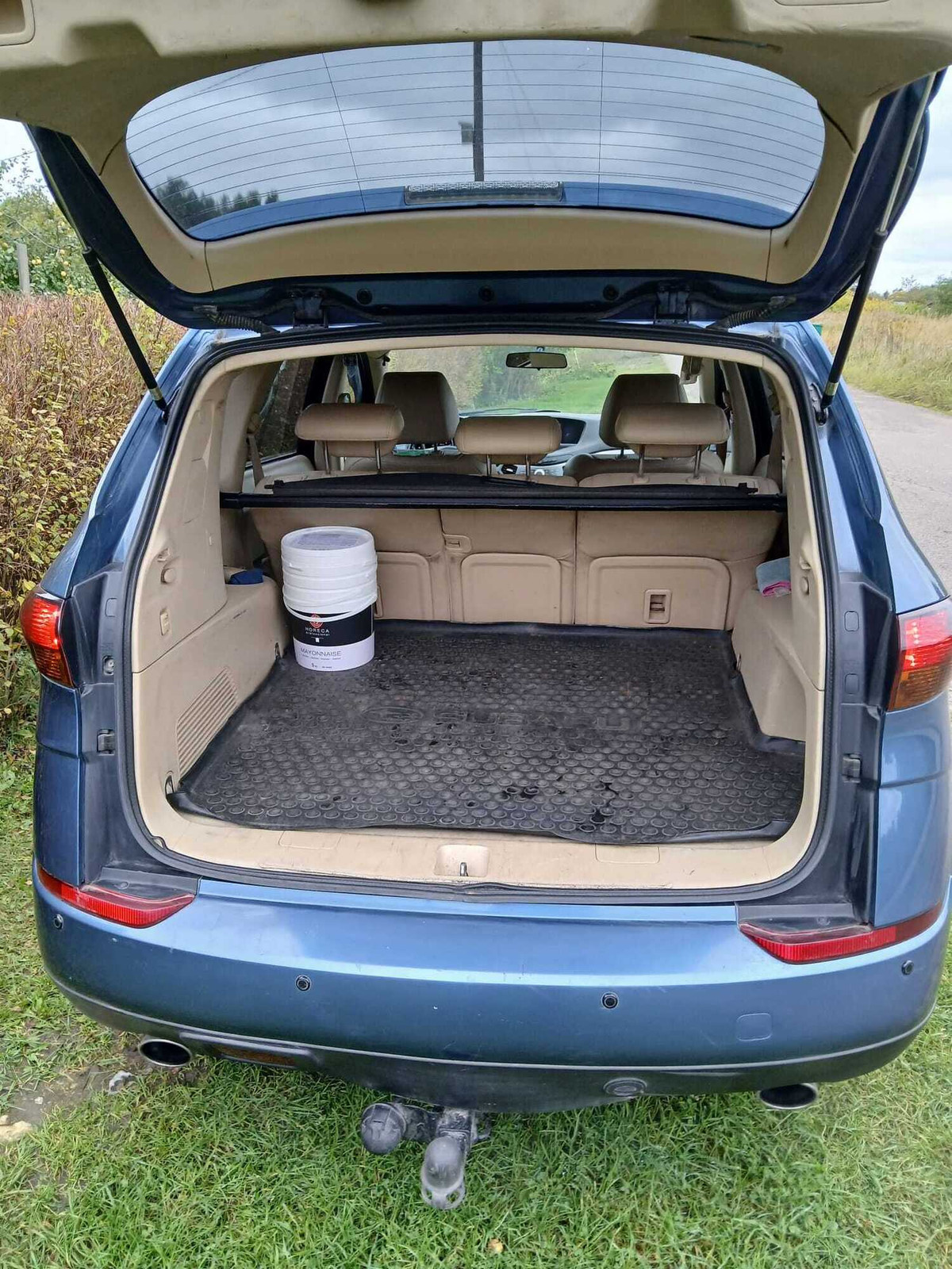 Subaru B9 Tribeca 2007, kuva 7/8