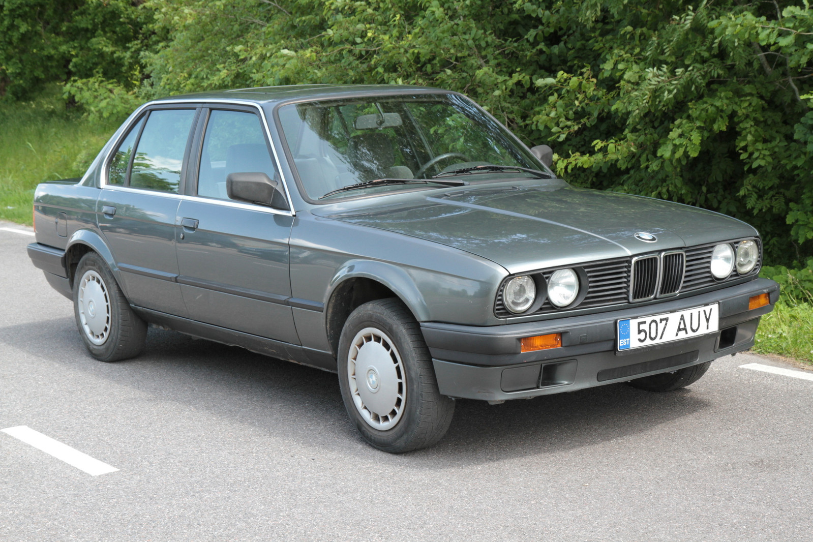 BMW 316 1990, kuva 2/10