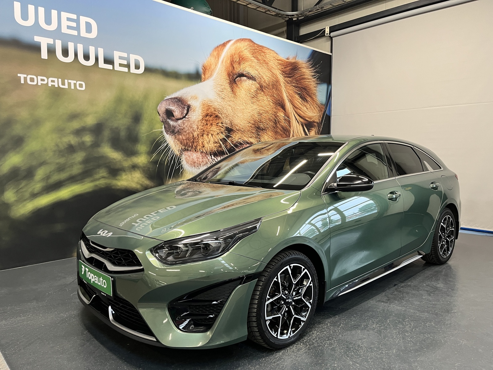 Kia pro_cee'd GT-Line 1.5 117kW