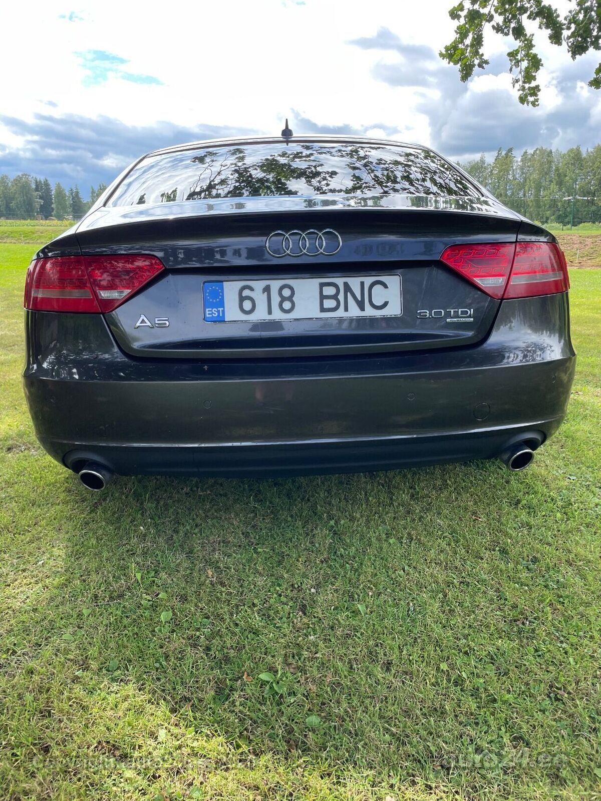 Audi A5 2010, photo 5/12