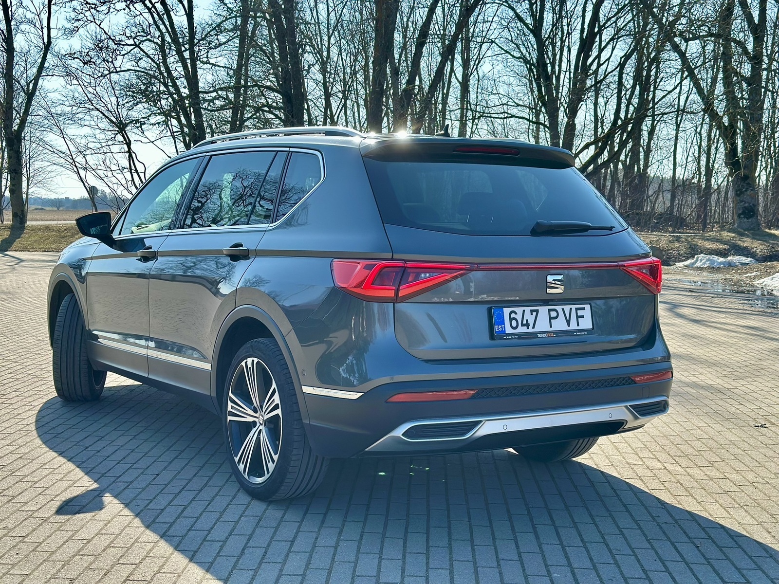 SEAT Tarraco 2019, photo 6/10