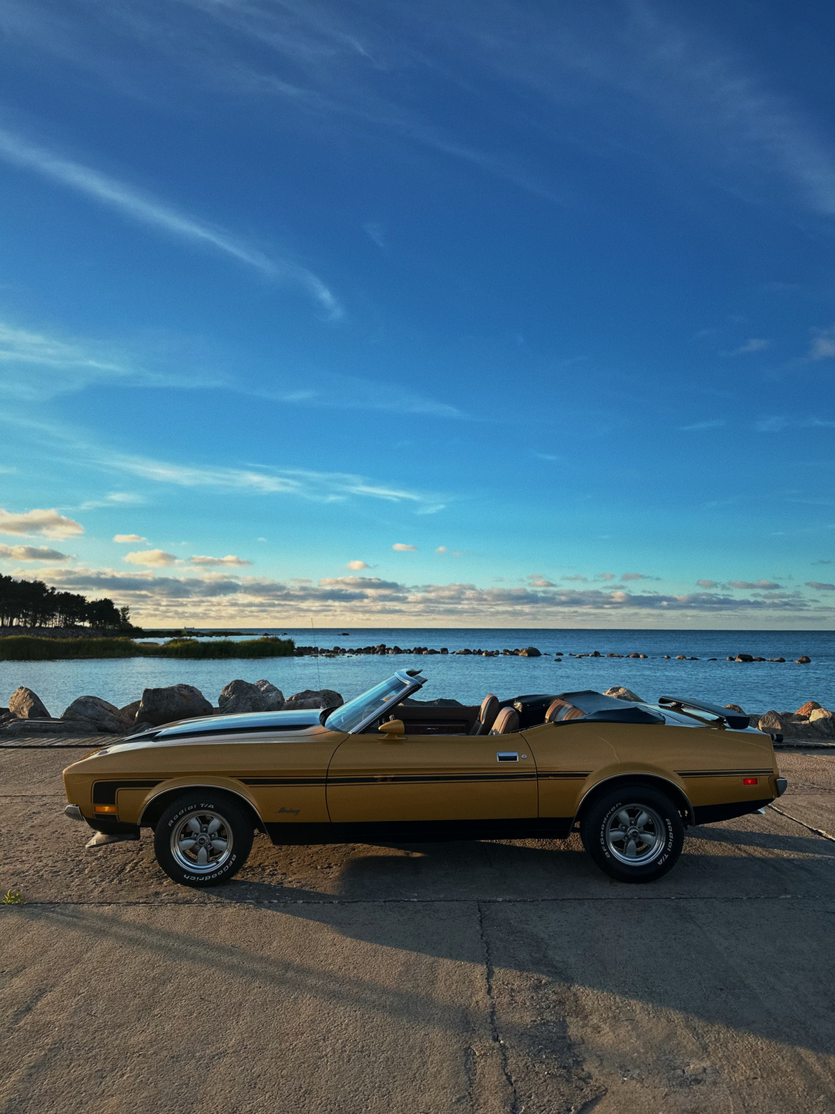 Ford Mustang 1973, photo 3/19