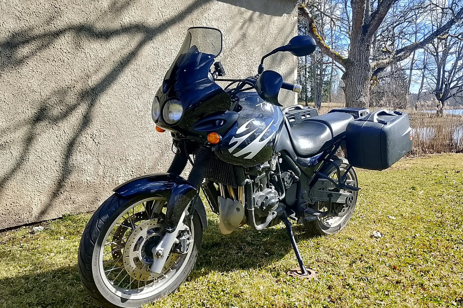Triumph TIGER 885I, 1999, 0.9, 61 kW, petrol, manual, rear-wheel drive
