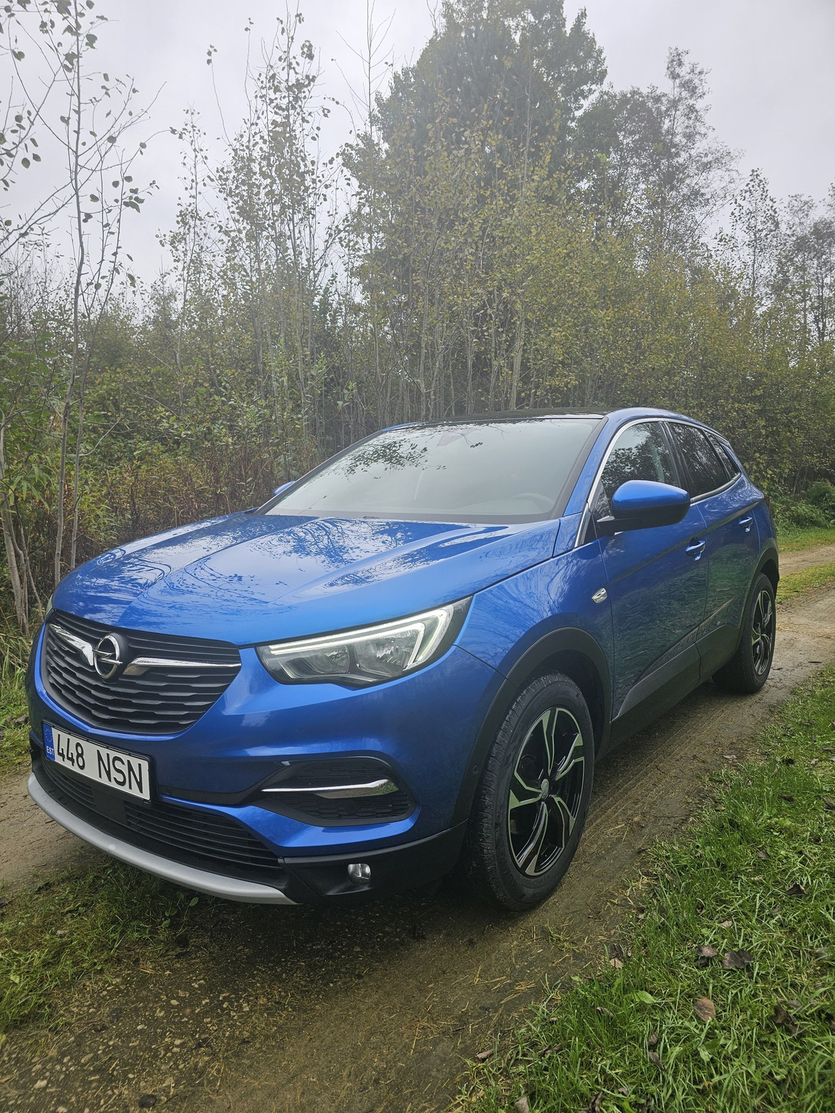 Opel Grandland X 2018, photo 2/4