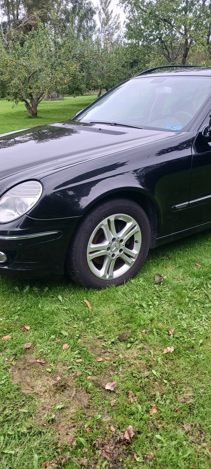 Mercedes-Benz E 220 2007, photo 3/12