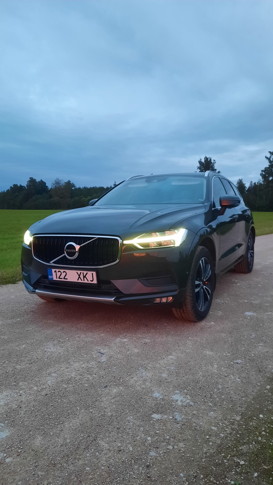 Volvo XC60 2019, photo 3/10
