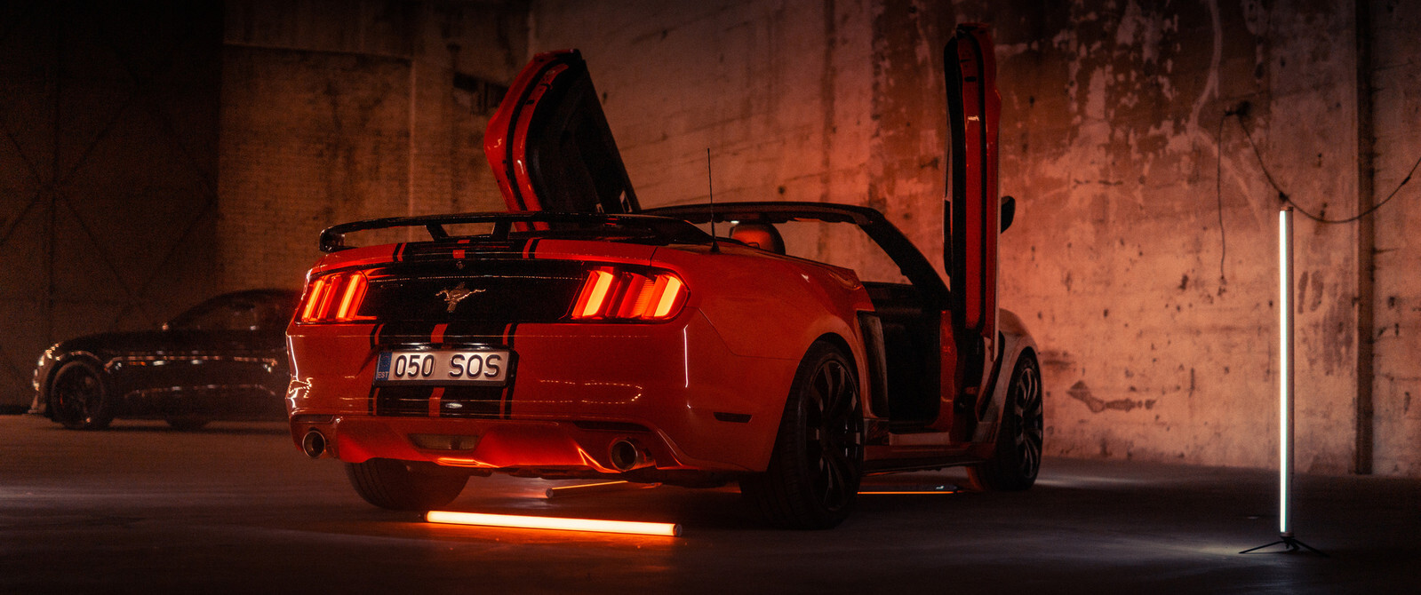 Ford Mustang 2015, photo 8/8