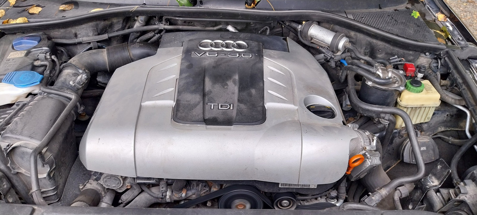 Audi Q7 2008, photo 7/15