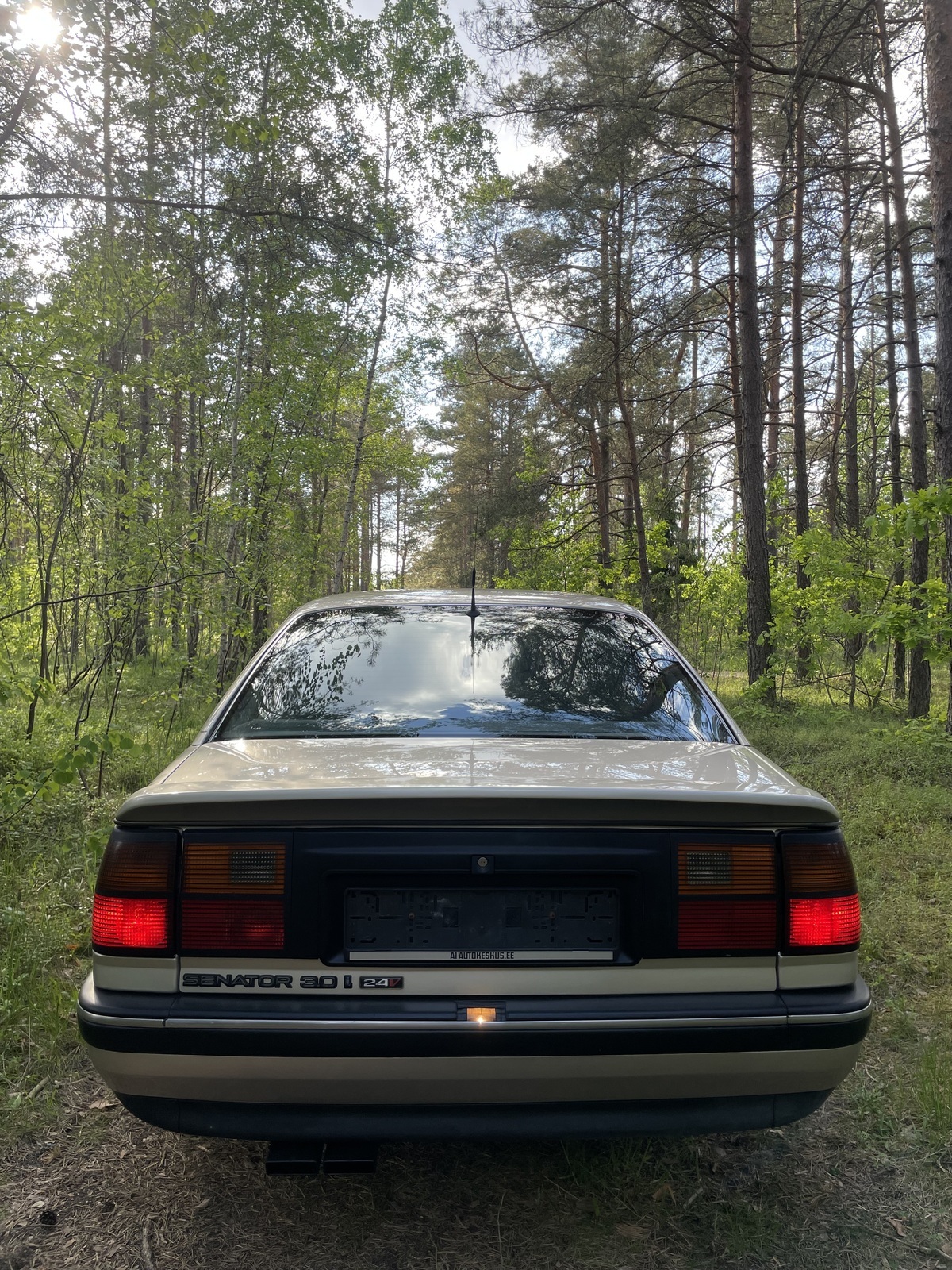 Opel Senator CD 1991, photo 6/54