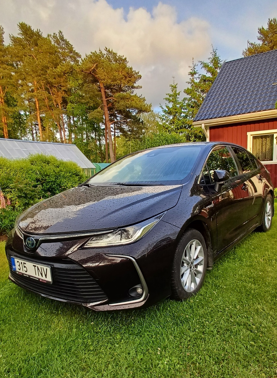 TOYOTA COROLLA ,HYBRID