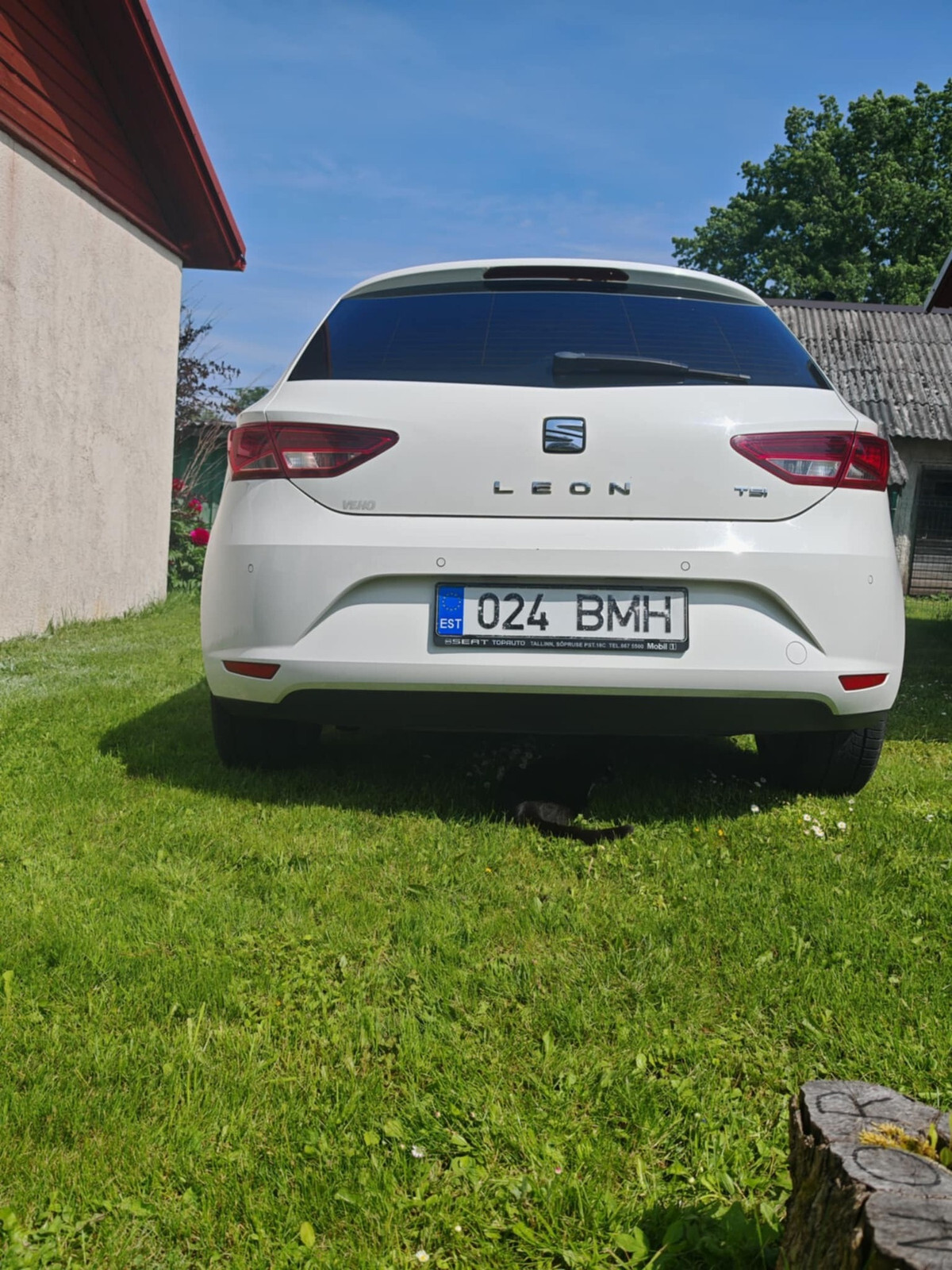 SEAT Leon 2014, photo 6/6
