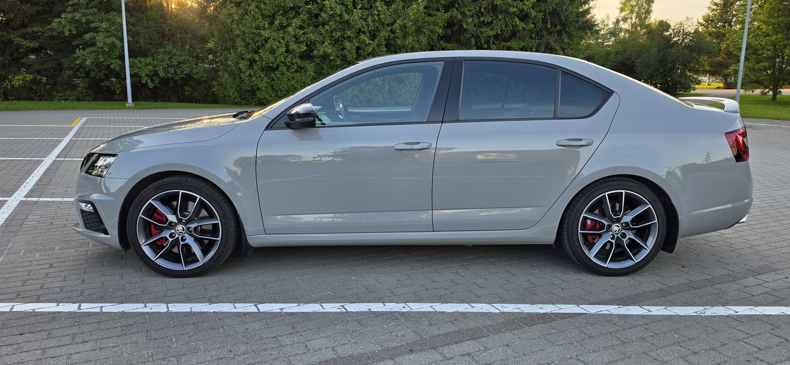 Škoda Octavia VRS 2019, photo 3/20