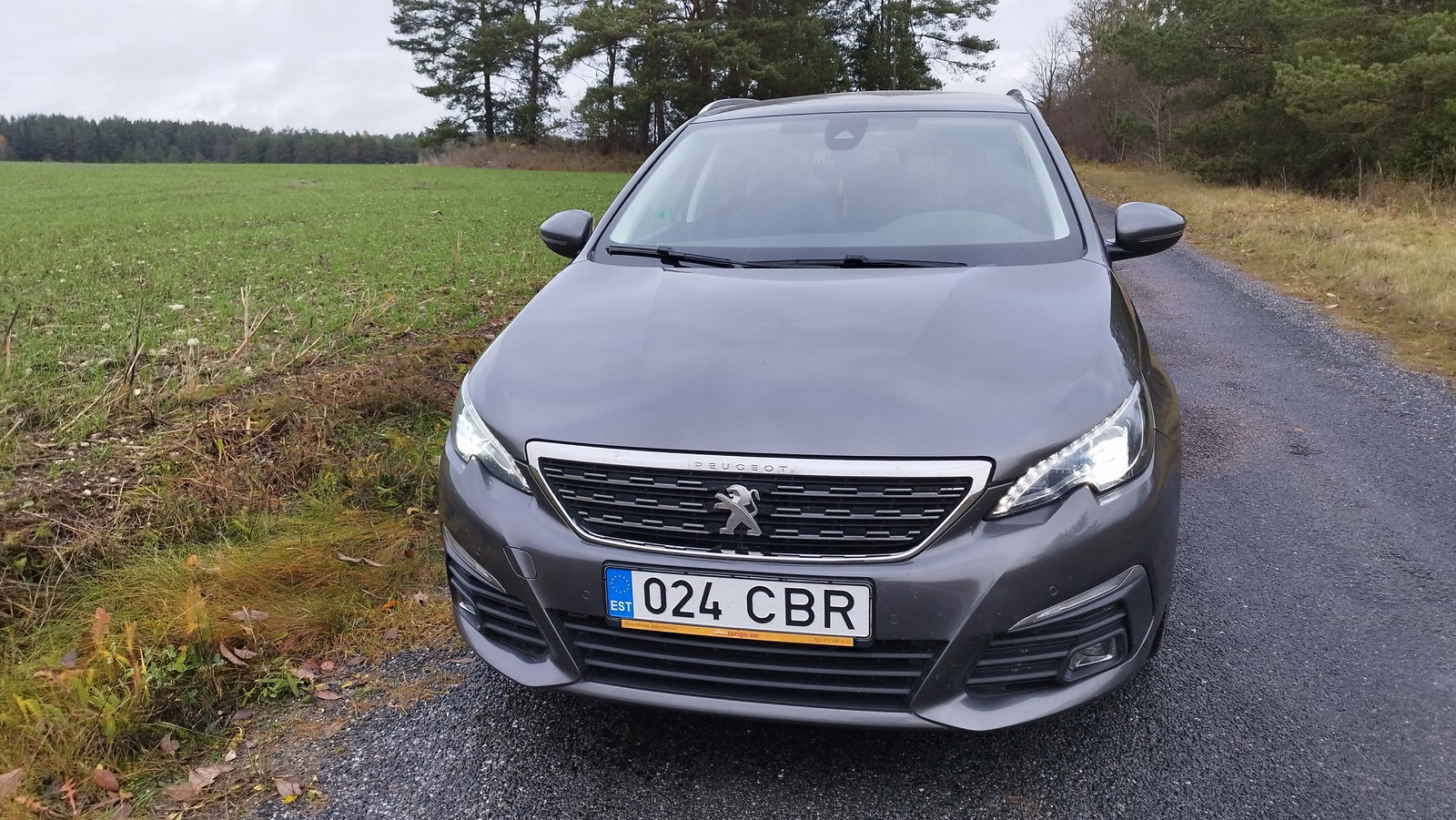 Peugeot 308 BHZW-R2K000 1.6 88kW