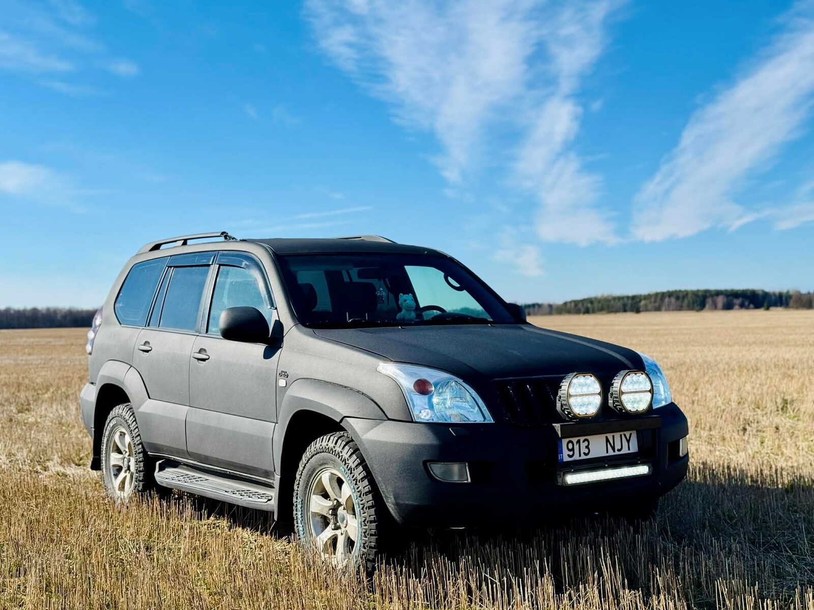 Toyota Land Cruiser 2007, photo 2/10