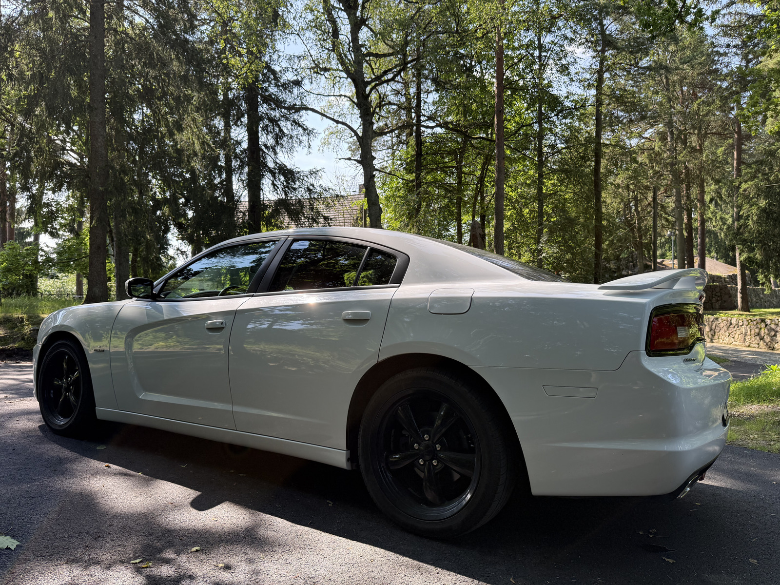 Dodge Charger 2015, photo 7/18