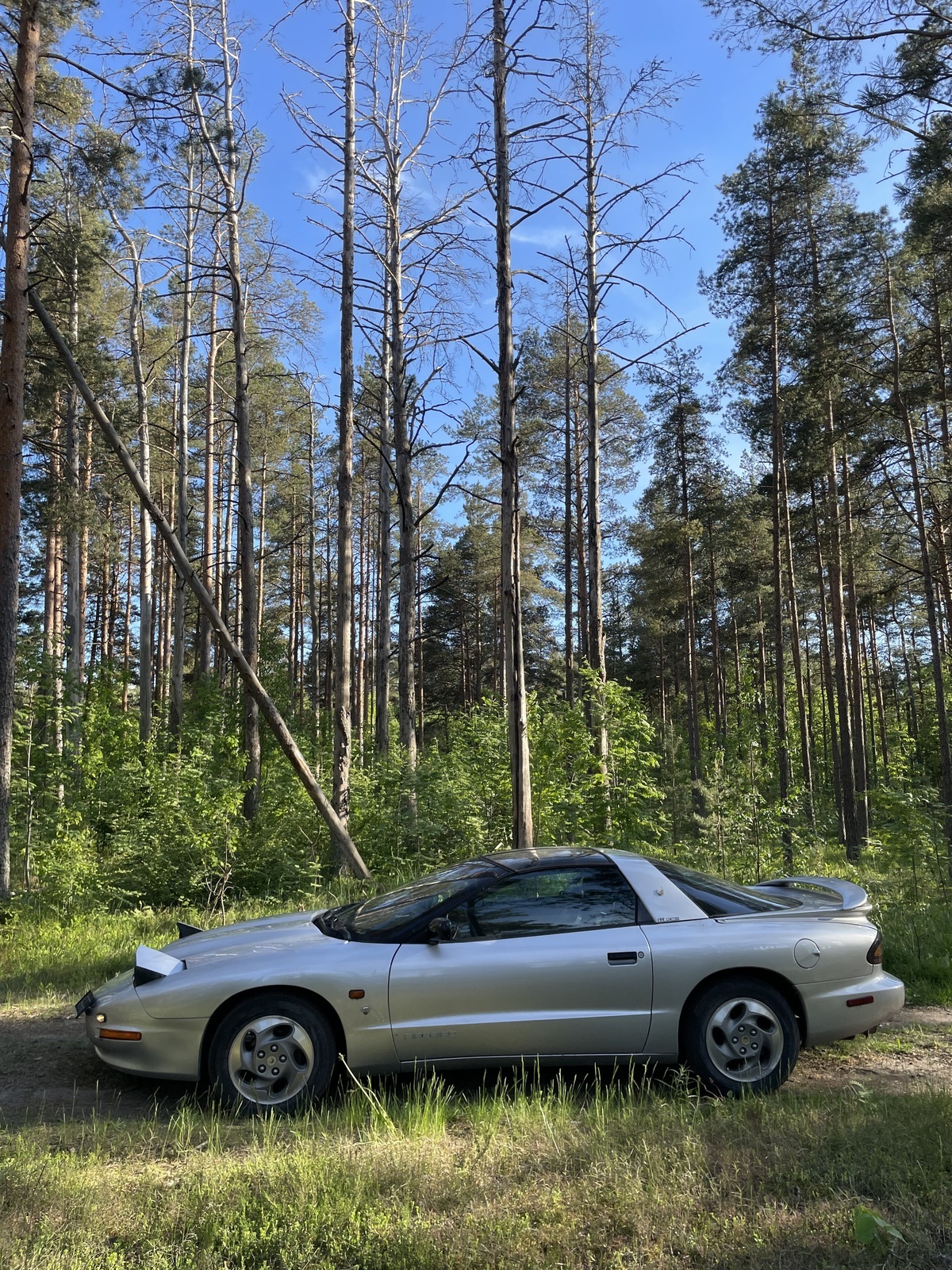 Pontiac Firebird 1996, kuva 3/44