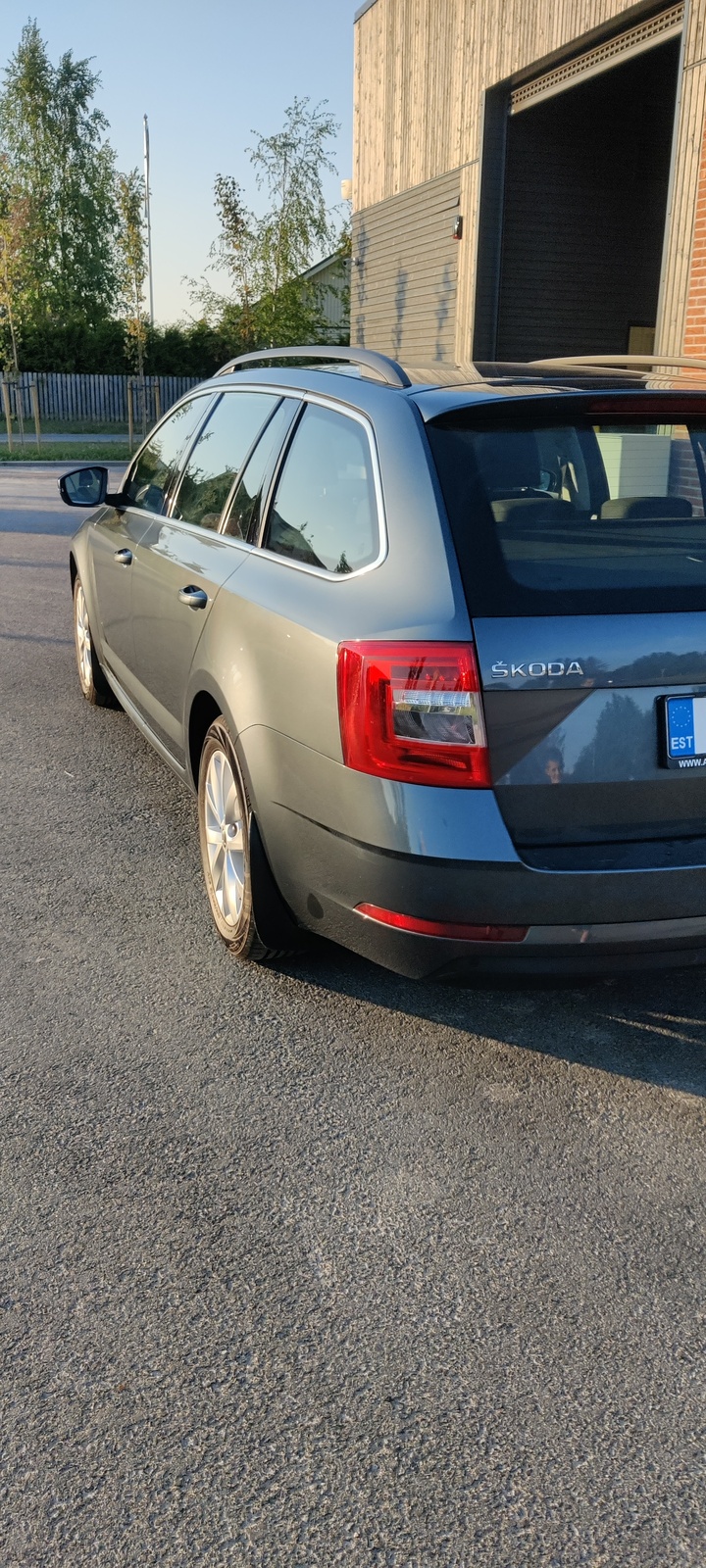 Škoda Octavia 2018, photo 4/10