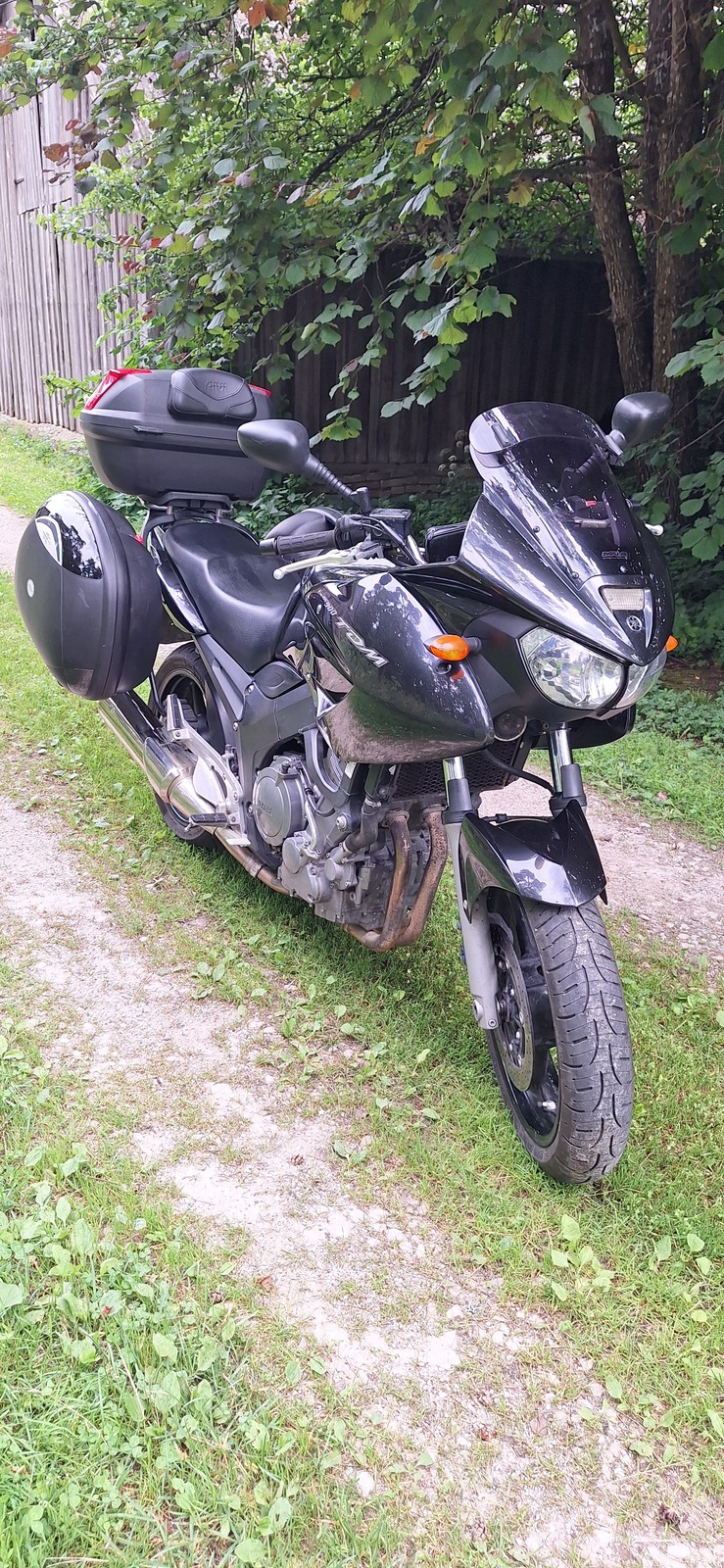 Yamaha TDM 900 2005, photo 6/8