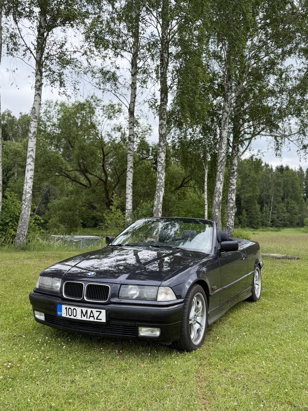 BMW 318 CABRIO 1.8 i 85kW