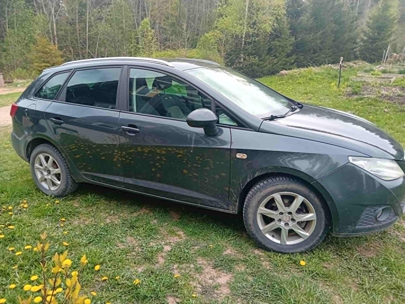 SEAT Ibiza 2011, photo 3/3