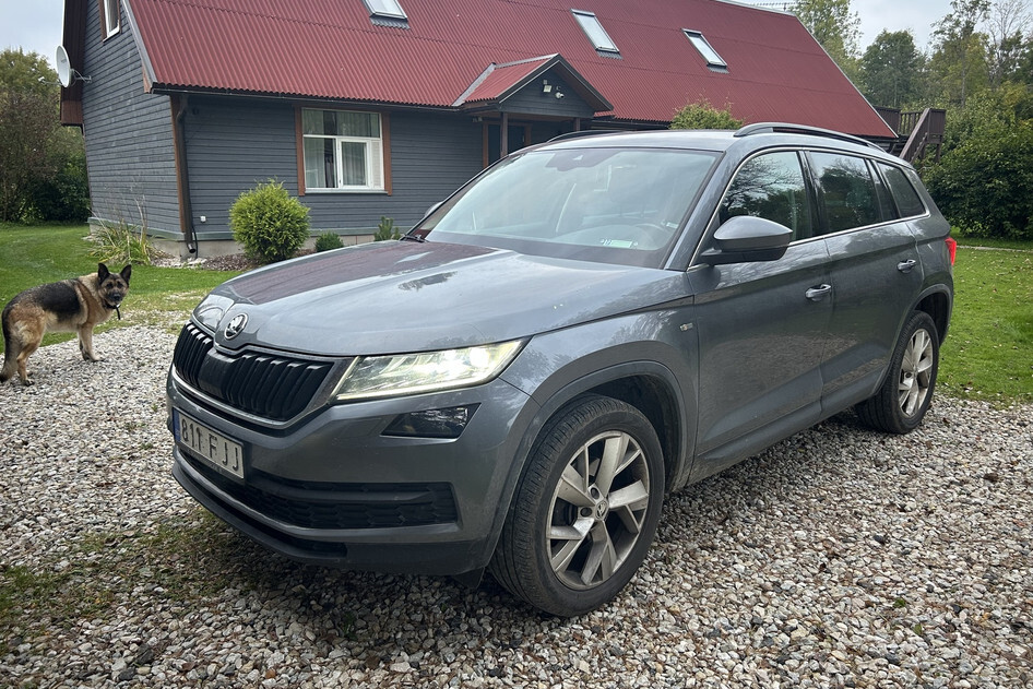 Škoda Kodiaq, 2019, 2.0, 110 kW, дизель, автомат, передний привод