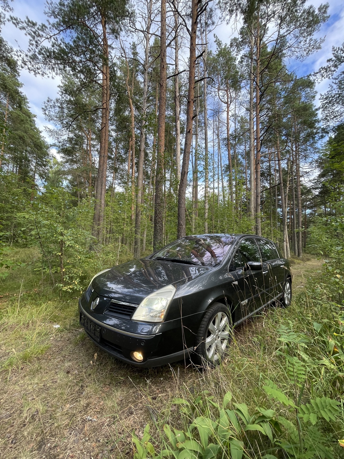 Renault Vel Satis 2006, kuva 3/17