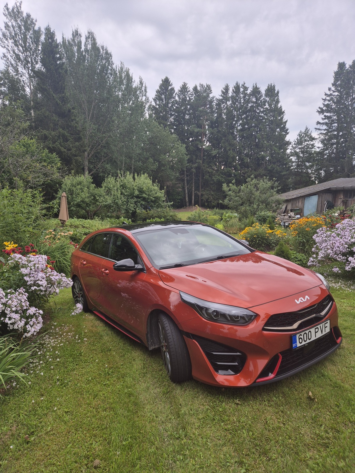 Kia pro cee'd / ProCeed