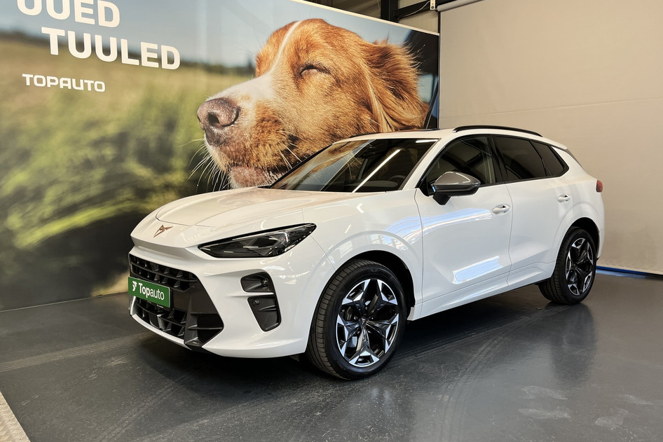 Cupra Terramar, 2025, 2.0, 195 kW, bensiin, automaat, nelikvedu