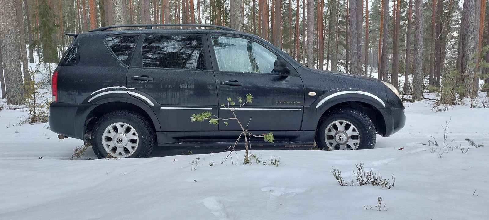 Ssangyong Rexton 2005, kuva 2/11