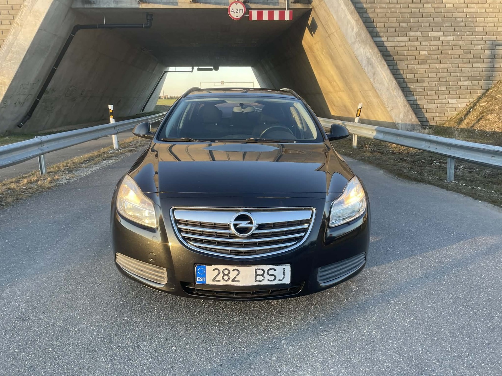Opel Insignia 2011, photo 2/12